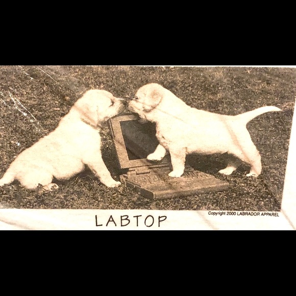 Cotton Tee Shirt Labrador Puppy Labtop Unisex - Picture 3 of 3